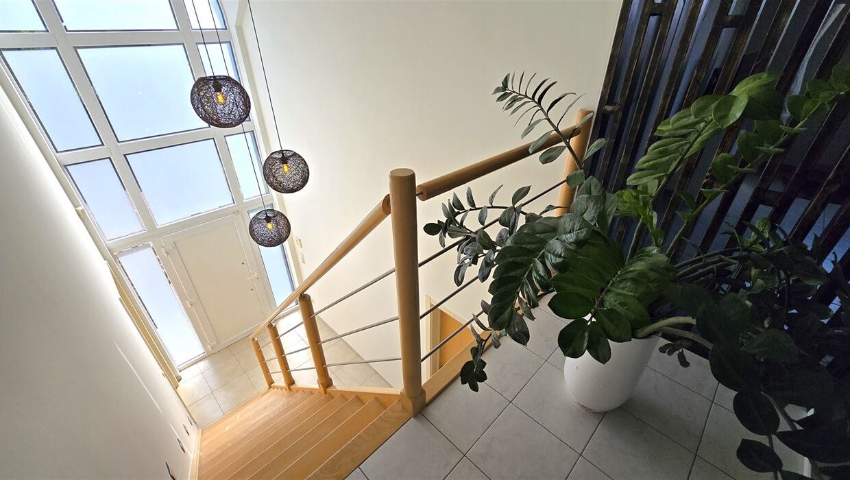 E1638961602780895016_4499NL