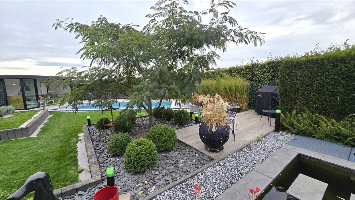 E2638961602810508232_4499ALL