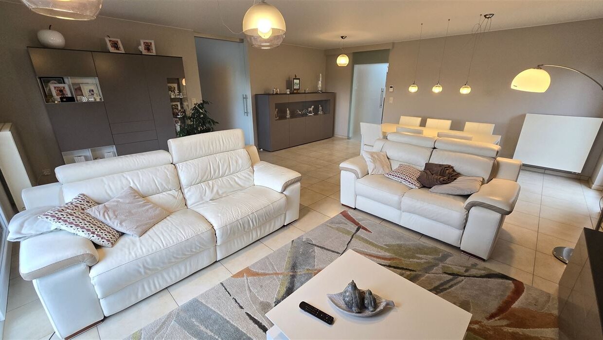 E3638961602780910060_4499GL