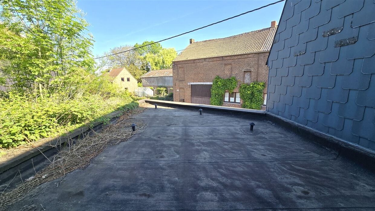 E1638978837618225742_4510LL