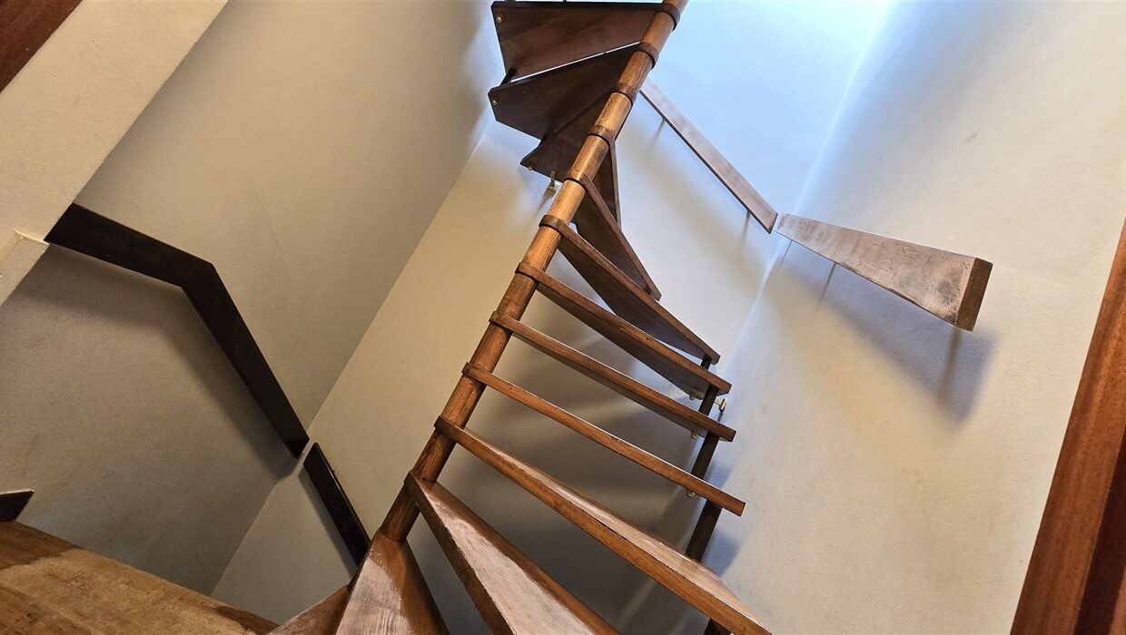 E2638975893095749865_4503GL