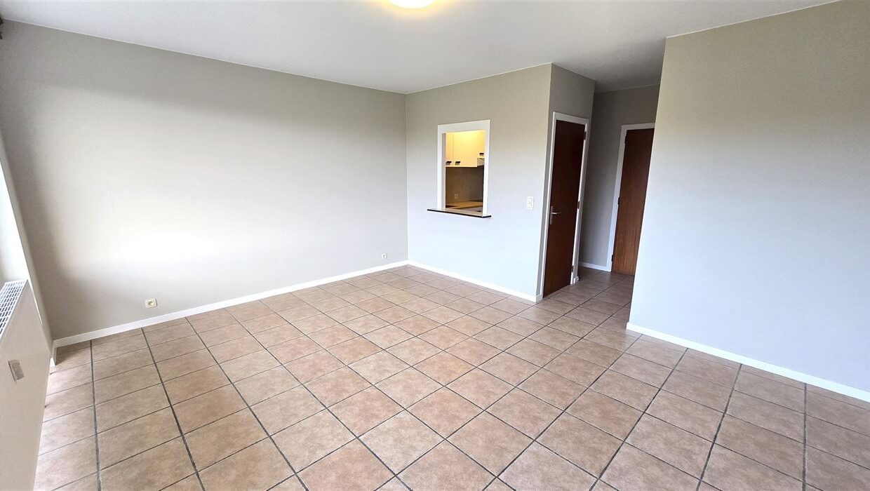 E2638978762506257187_4507BL