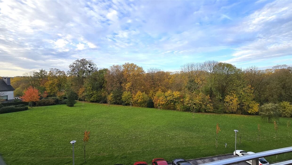 E2638978762512071621_4507HL