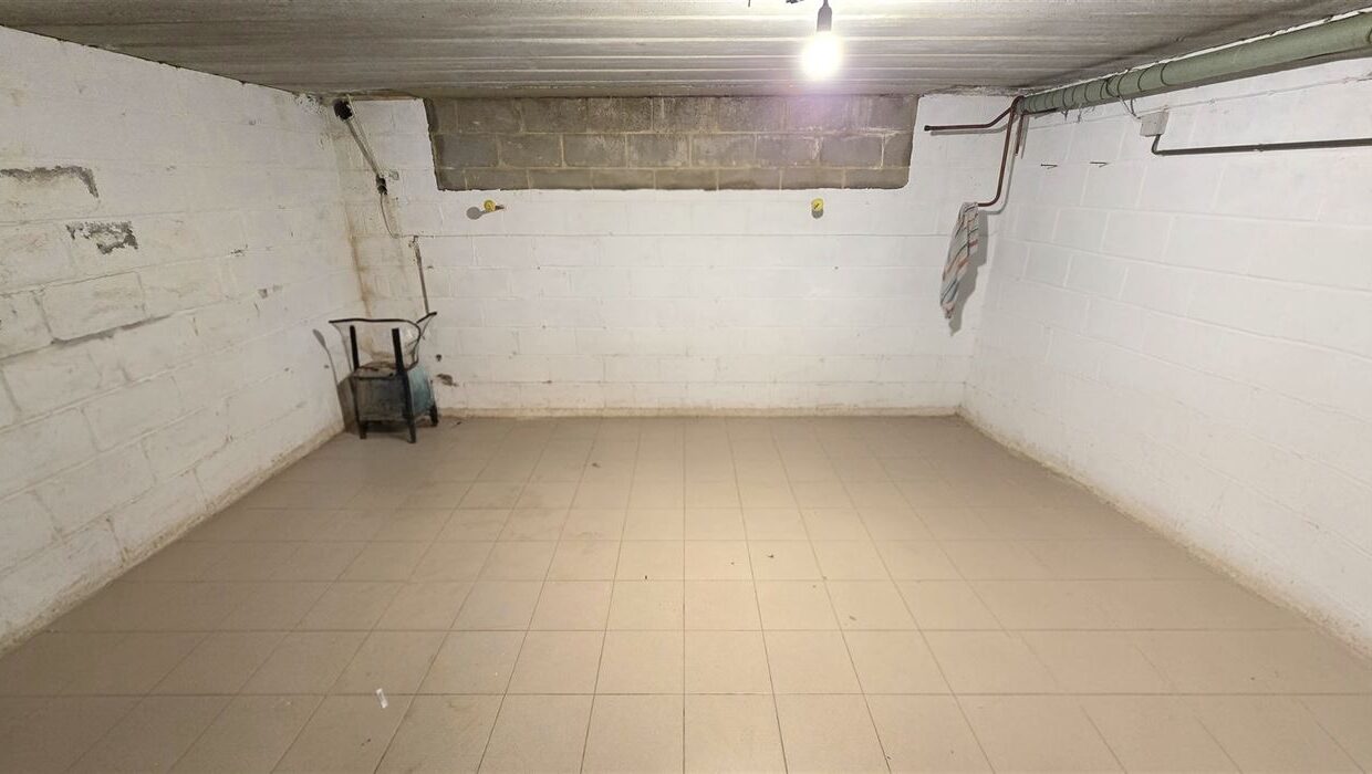 E1639050218102916493_4543AAL