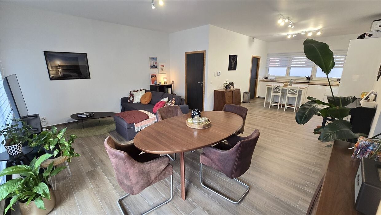 E1639050219660385594_4544DL