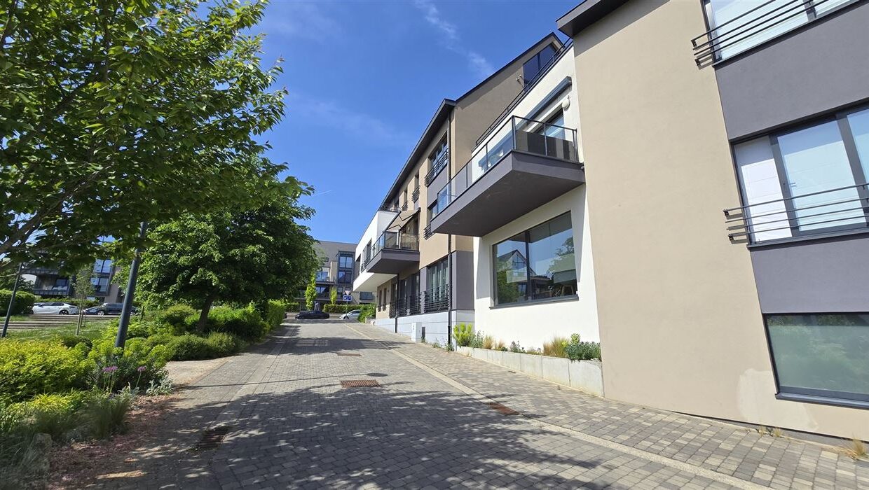 E1639064412115105669_4557BL