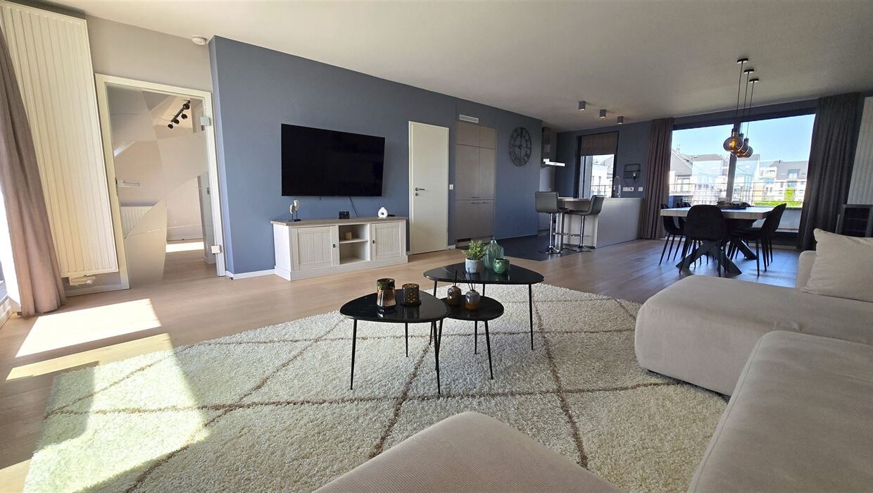 E1639064412119066317_4557HL