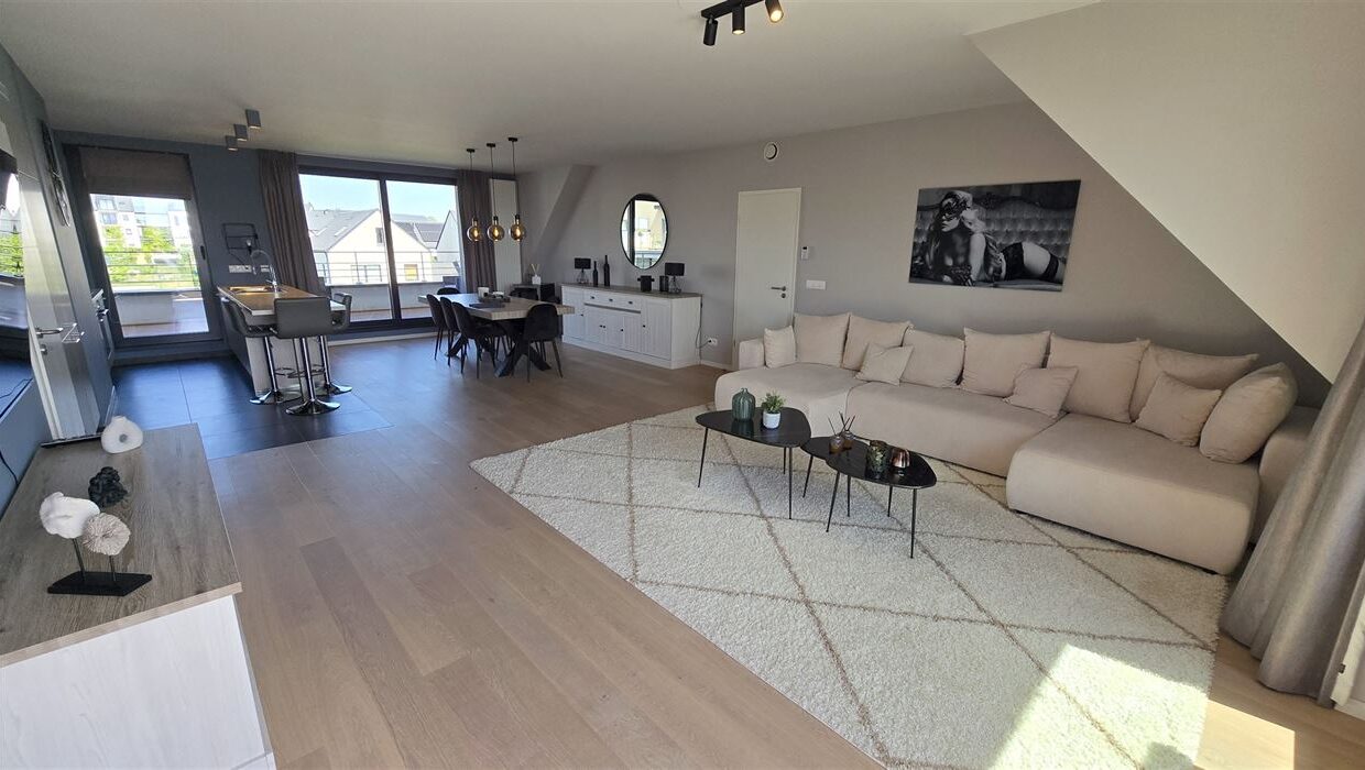 E1639064412143196037_4557GL