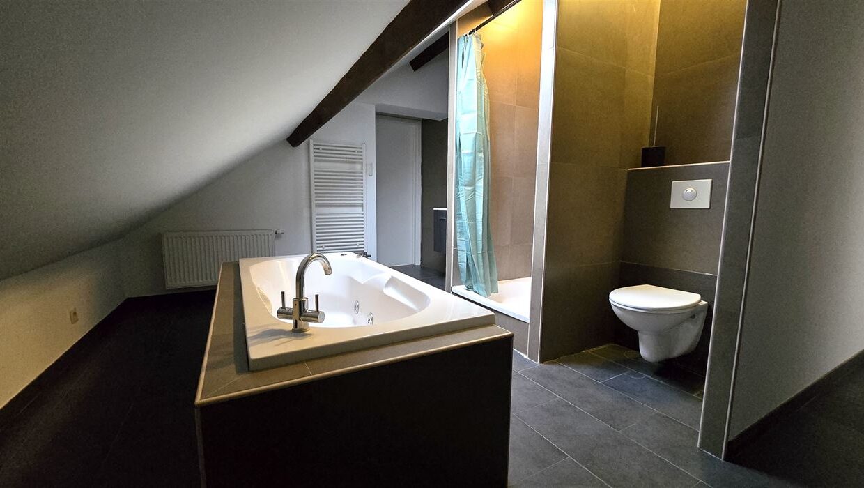 E1639073928616972393_4558OL