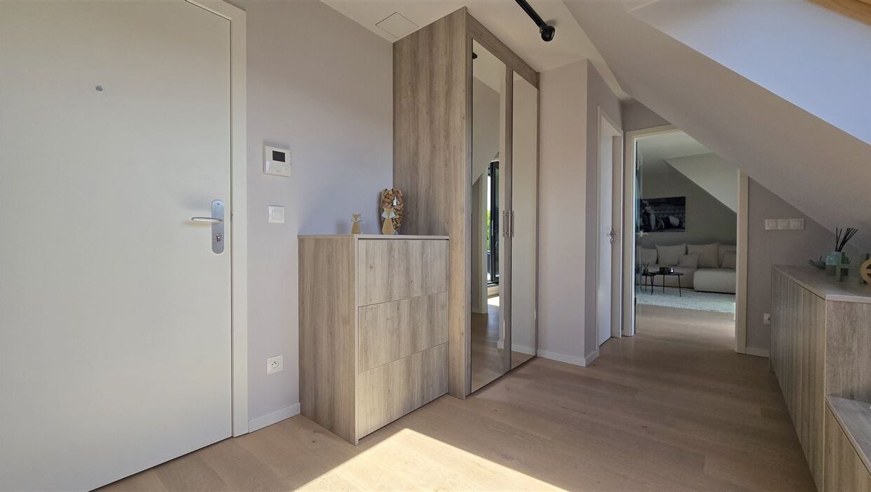 E2639064412124691943_4557DL