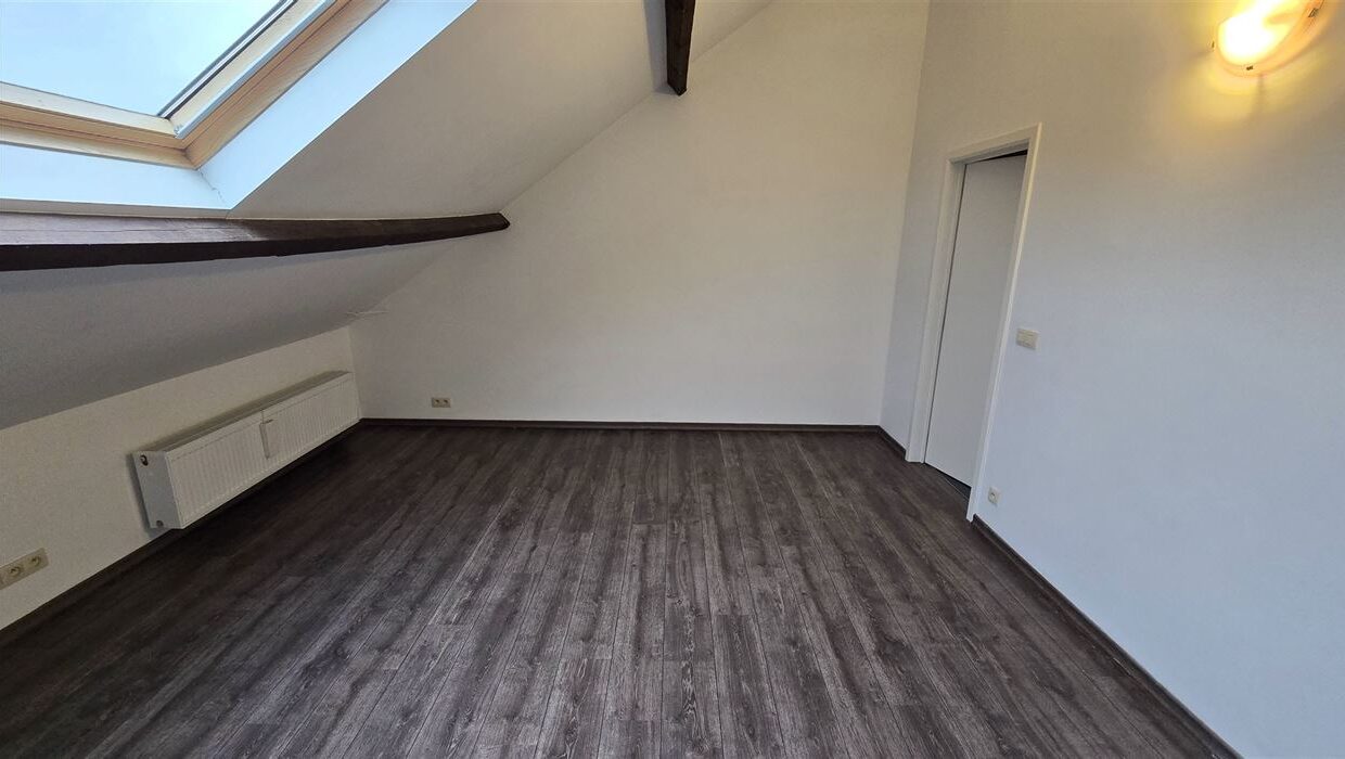 E3639073928625472449_4558LL