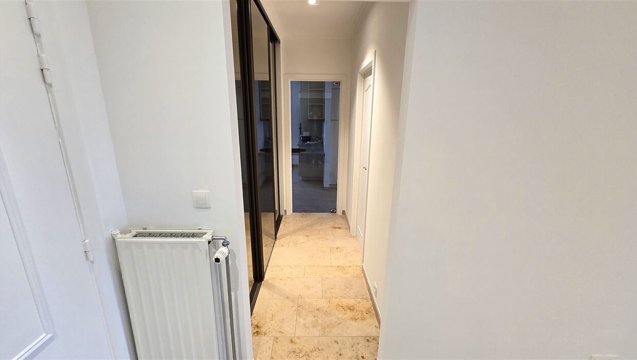 E2639082589890831698_4559CL