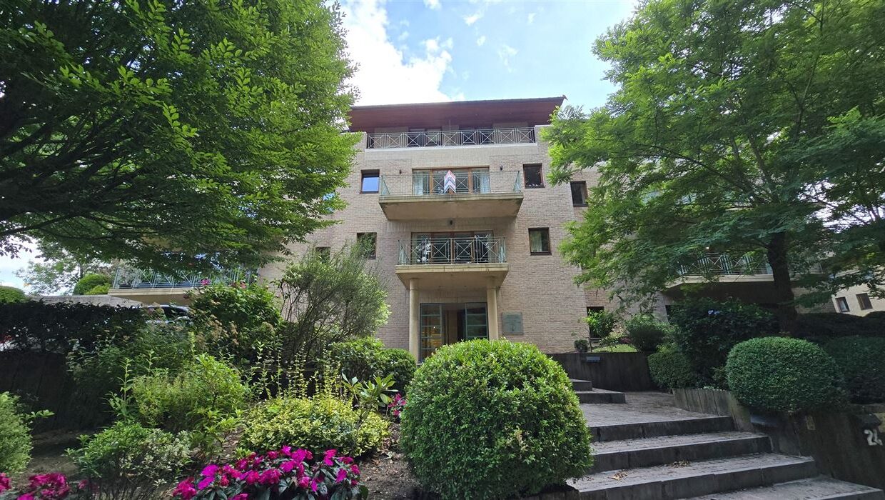 E2639082589896943723_4559AGL