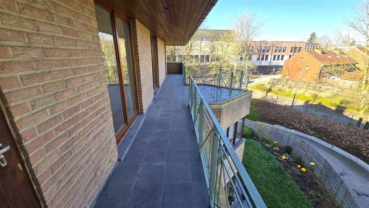 E2639082589923015522_4559ACL