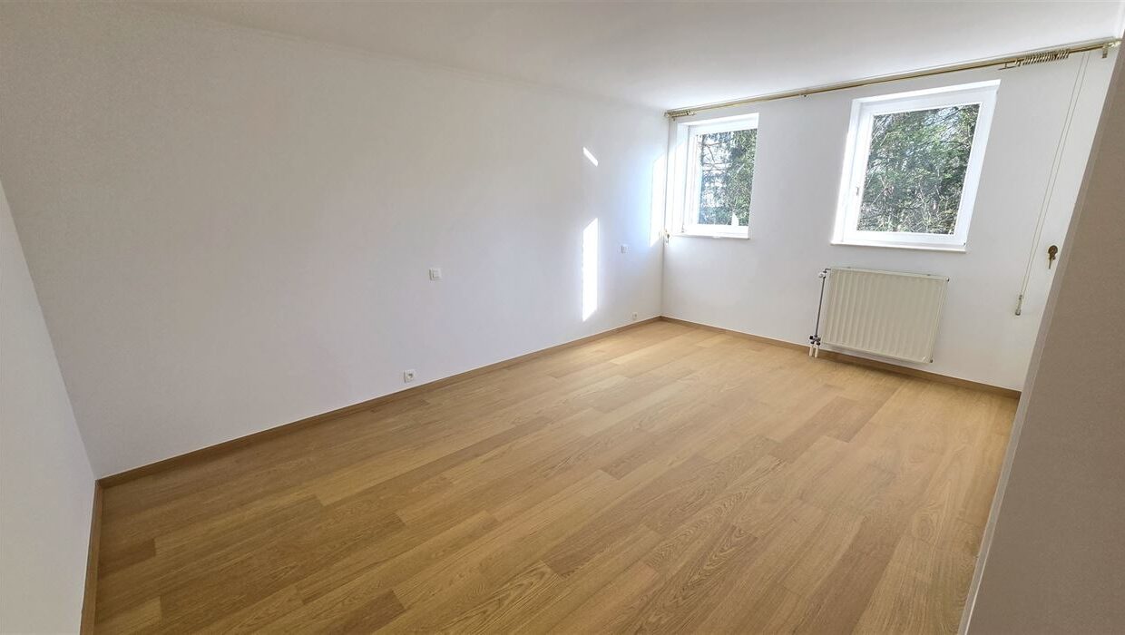 E3639082589882417523_4559IL