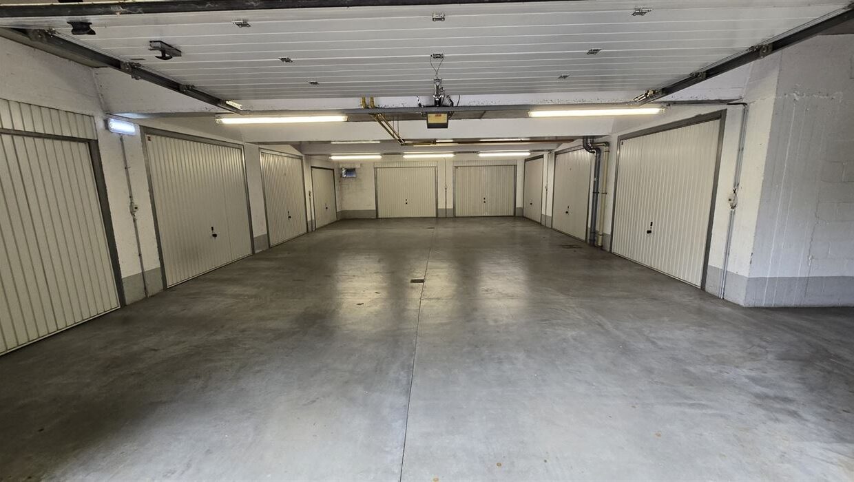 E3639082589882418188_4559ADL