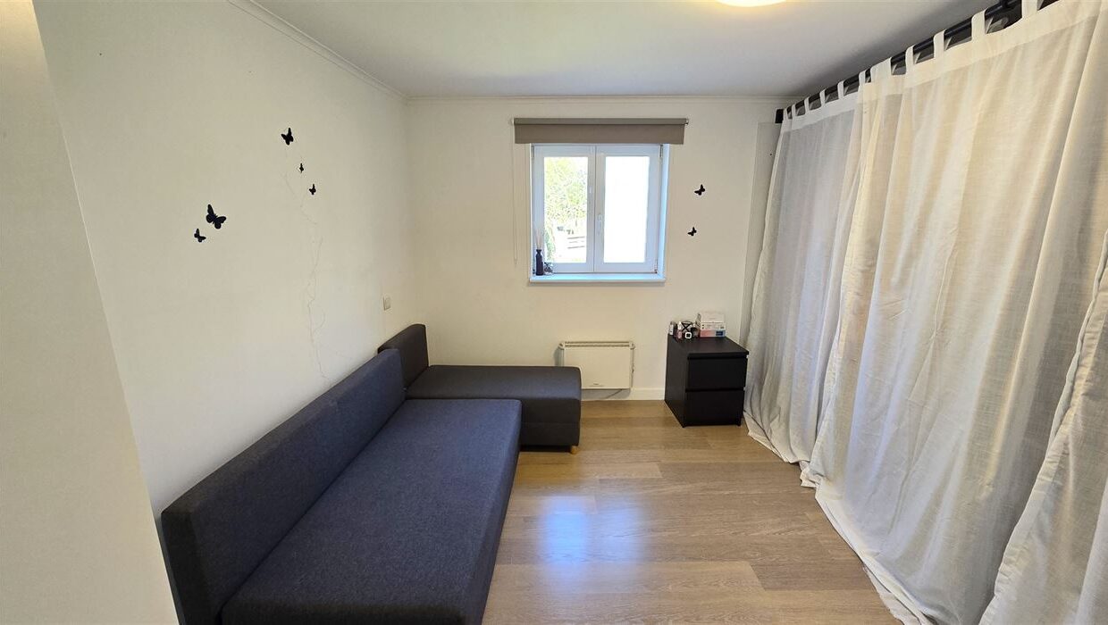 E3639089260633248952_4565LL